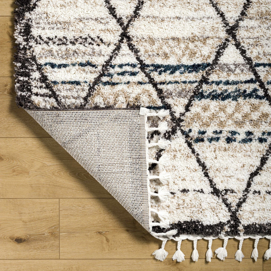 Gomez Bohemian Style Beige Area Rug - The Rug Decor