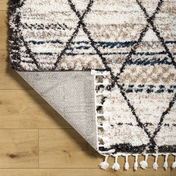 Gomez Bohemian Style Beige Area Rug - The Rug Decor