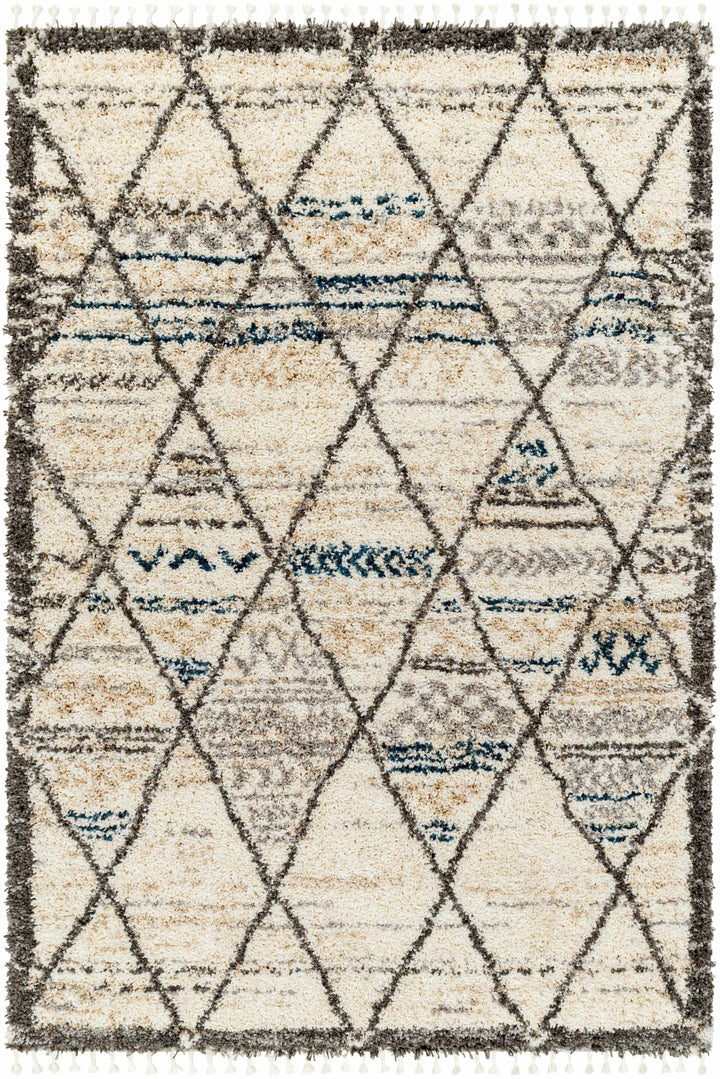 Gomez Bohemian Style Beige Area Rug - The Rug Decor