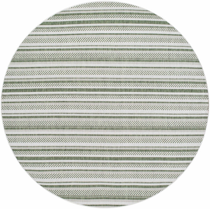 Gram Contemporary Style Green And Ivory Outdoor Rug - The Rug Decor