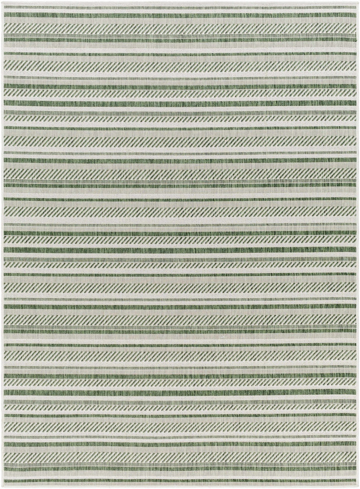 Gram Contemporary Style Green And Ivory Outdoor Rug - The Rug Decor