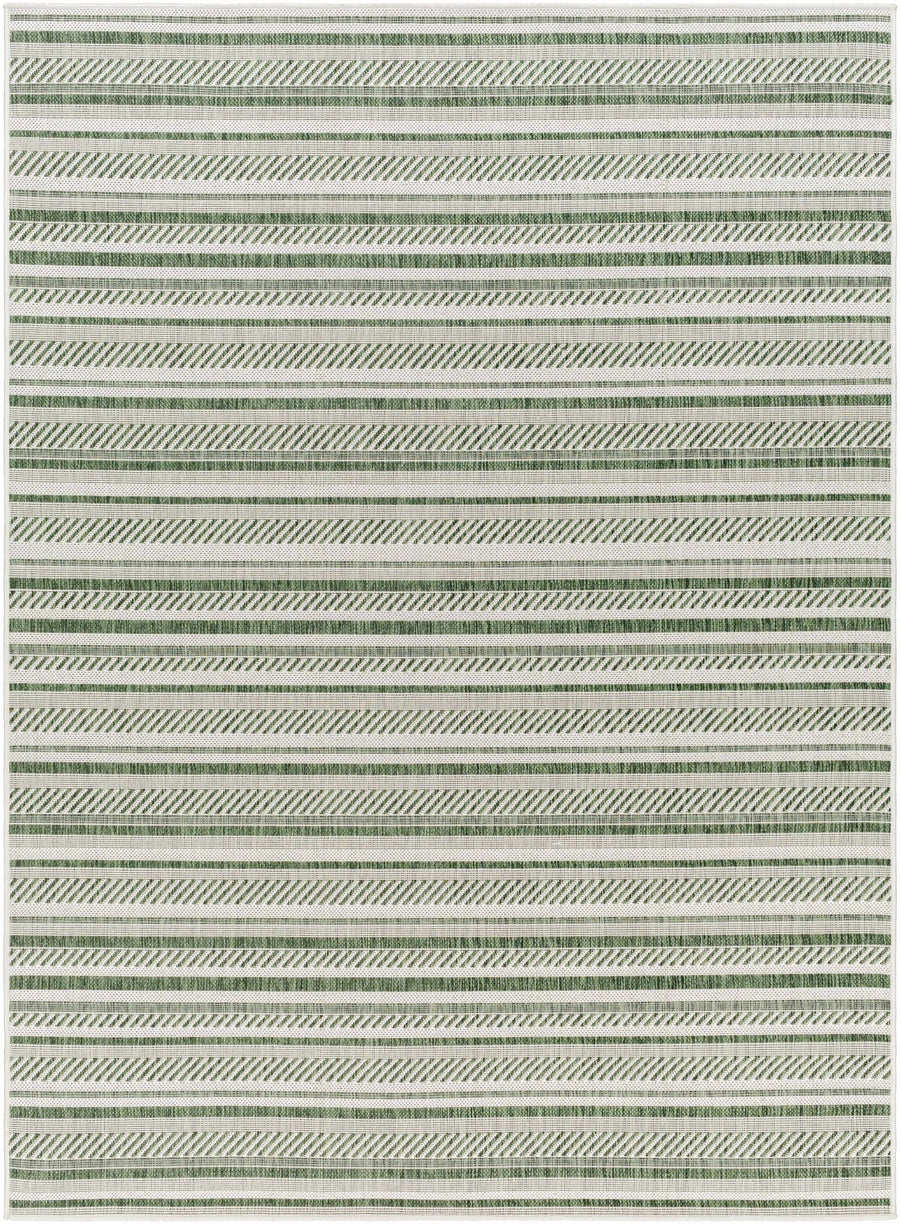 Gram Contemporary Style Green And Ivory Outdoor Rug - The Rug Decor