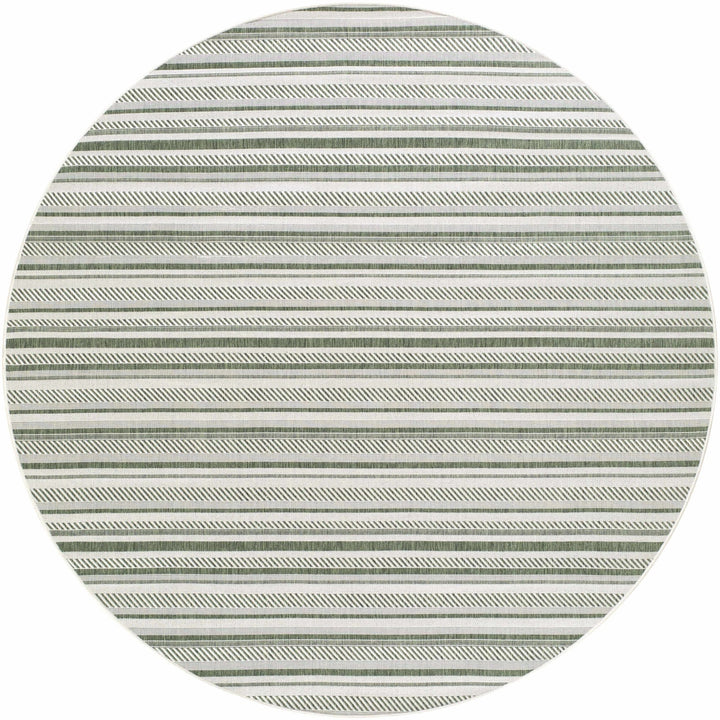 Gram Contemporary Style Green And Ivory Outdoor Rug - The Rug Decor