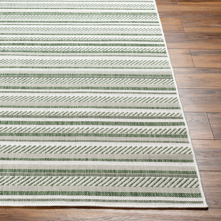 Gram Contemporary Style Green And Ivory Outdoor Rug - The Rug Decor