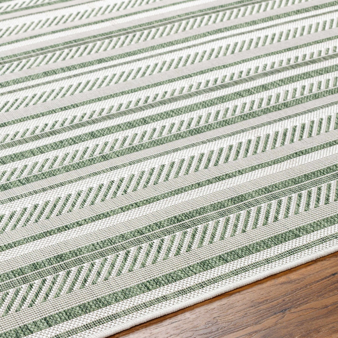 Gram Contemporary Style Green And Ivory Outdoor Rug - The Rug Decor