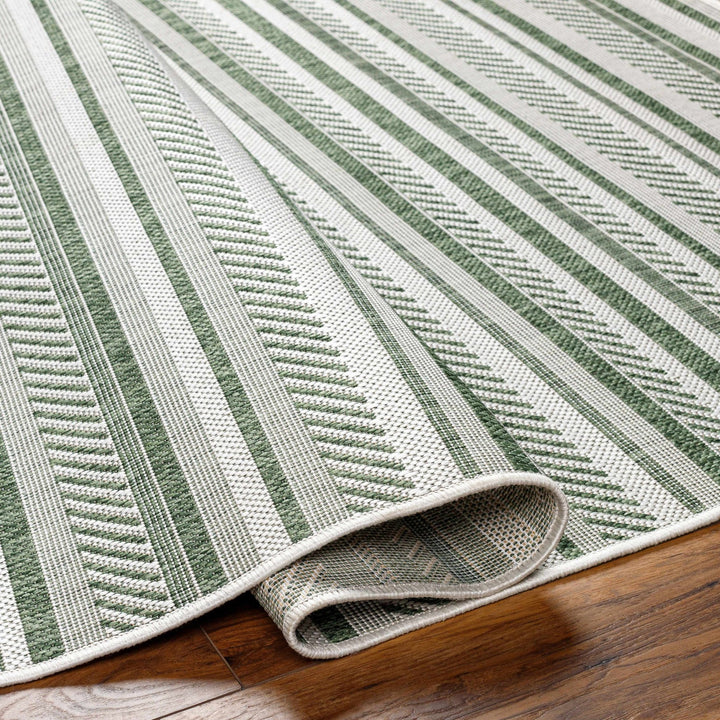 Gram Contemporary Style Green And Ivory Outdoor Rug - The Rug Decor