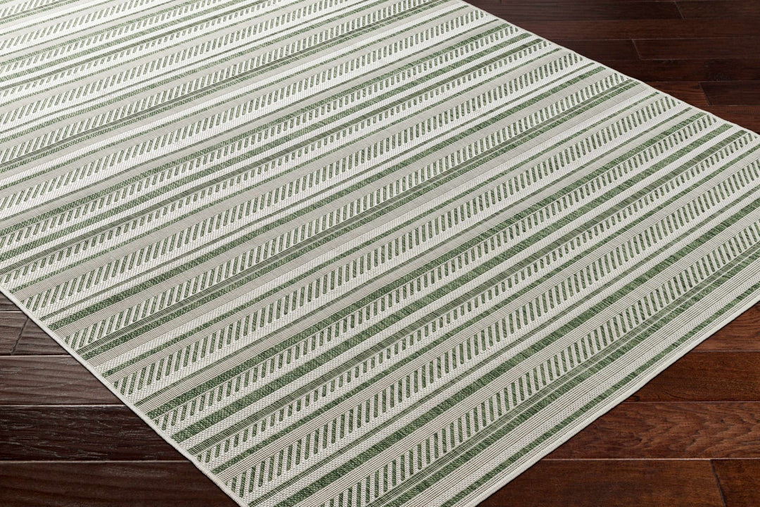 Gram Contemporary Style Green And Ivory Outdoor Rug - The Rug Decor