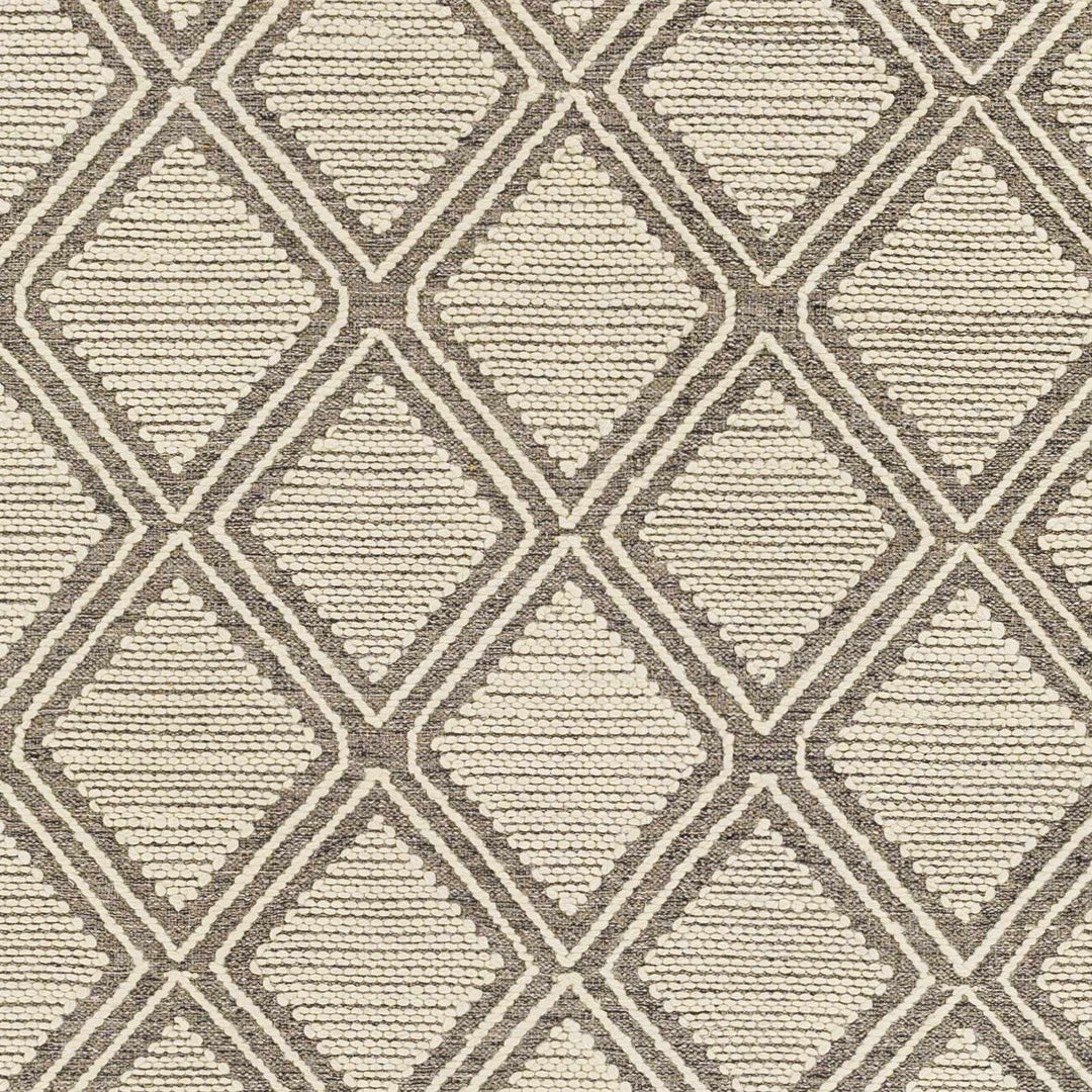 Grasston Modern Geometrical Design Beige Hand Woven Area Rug - The Rug Decor