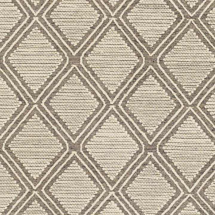 Grasston Modern Geometrical Design Beige Hand Woven Area Rug - The Rug Decor