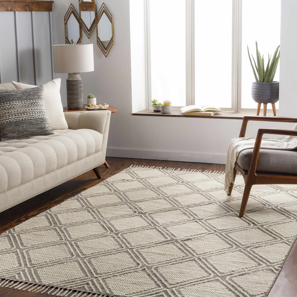 Grasston Modern Geometrical Design Beige Hand Woven Area Rug - The Rug Decor