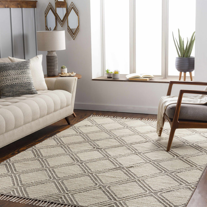 Grasston Modern Geometrical Design Beige Hand Woven Area Rug - The Rug Decor