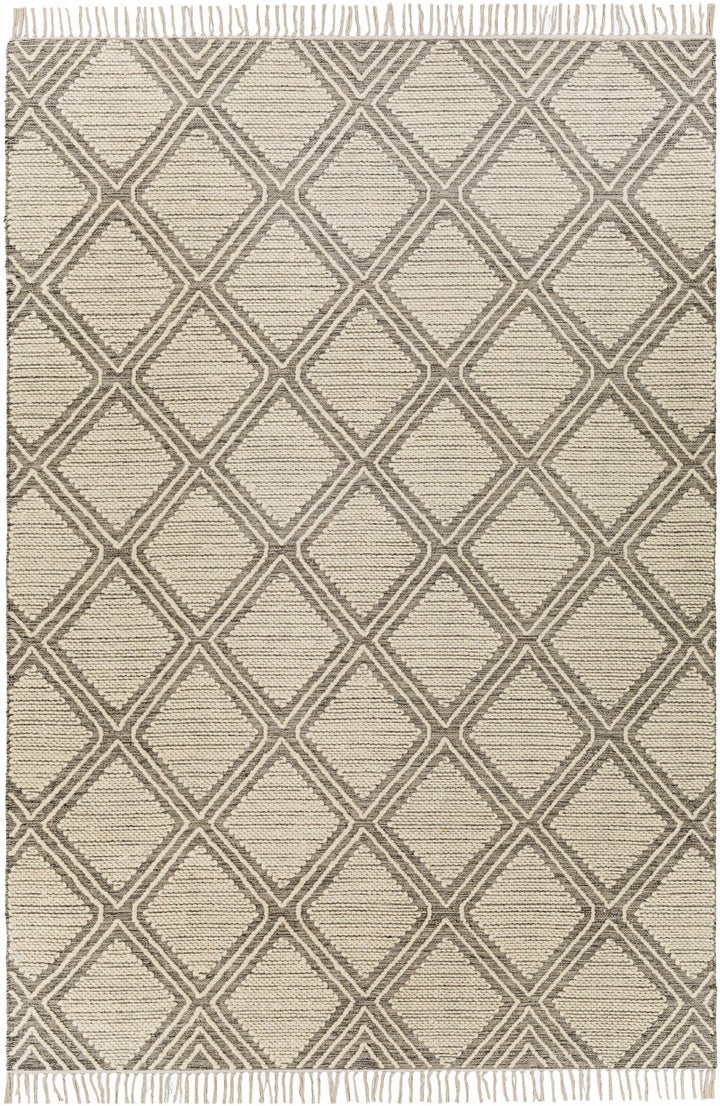 Grasston Modern Geometrical Design Beige Hand Woven Area Rug - The Rug Decor