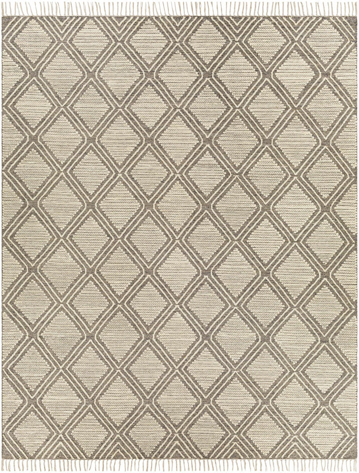 Grasston Modern Geometrical Design Beige Hand Woven Area Rug - The Rug Decor