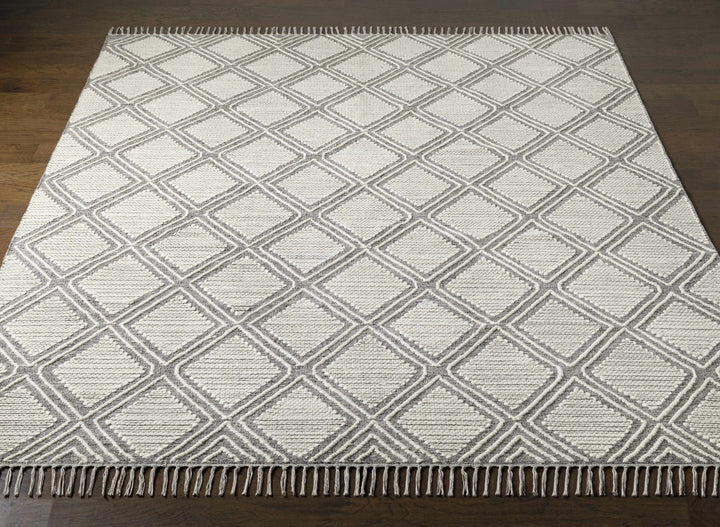 Grasston Modern Geometrical Design Beige Hand Woven Area Rug - The Rug Decor