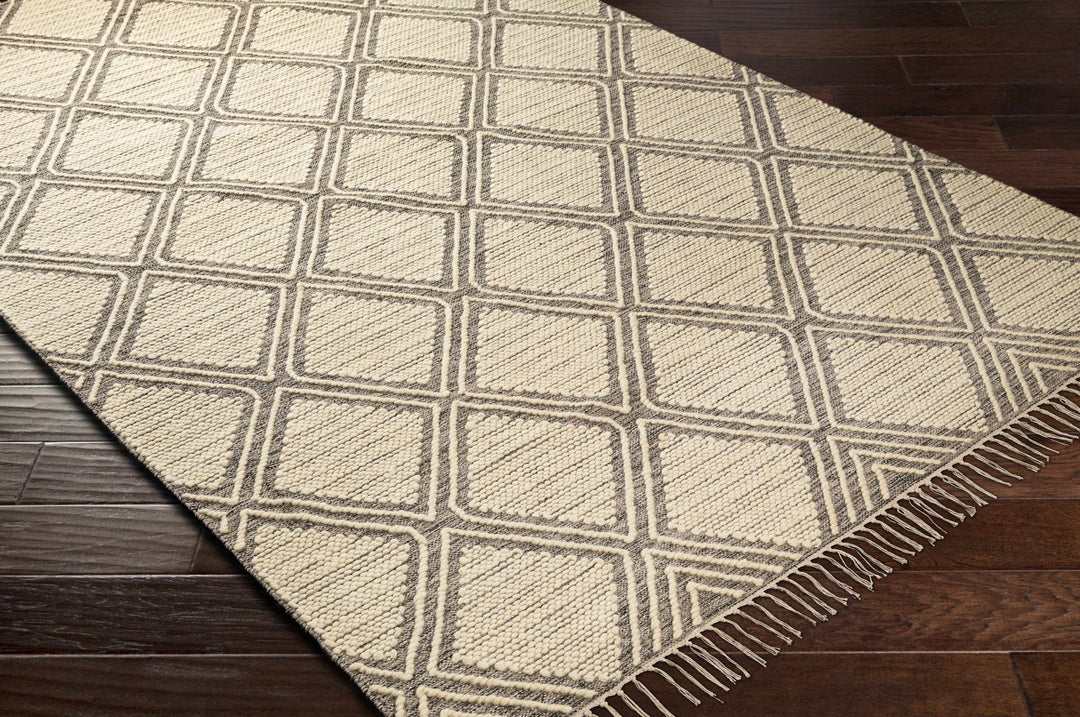 Grasston Modern Geometrical Design Beige Hand Woven Area Rug - The Rug Decor