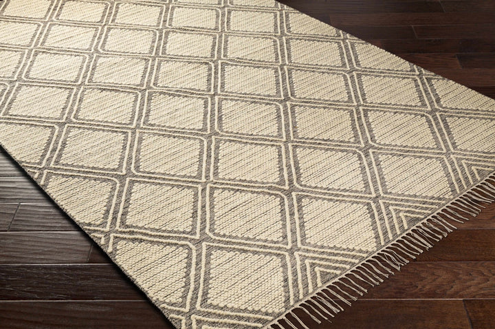 Grasston Modern Geometrical Design Beige Hand Woven Area Rug - The Rug Decor