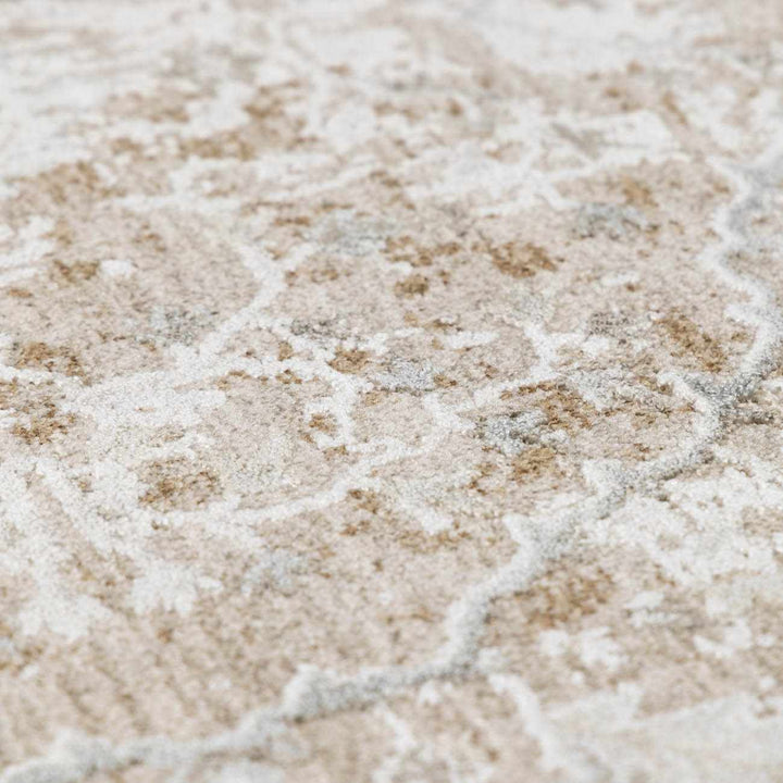 Gray And Beige Traditional Style medallion Rug - The Rug Decor