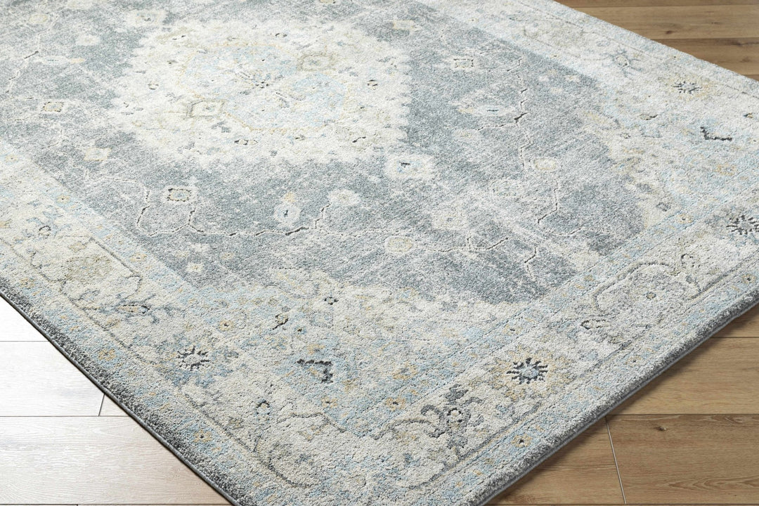 Gray Traditional Style Machine Woven Area Rug - The Rug Decor