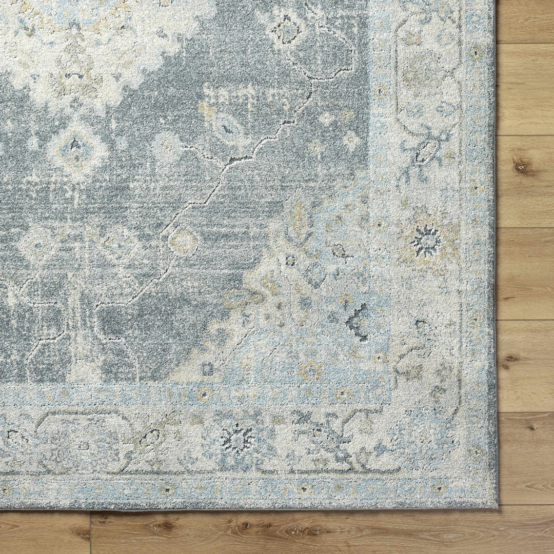 Gray Traditional Style Machine Woven Area Rug - The Rug Decor