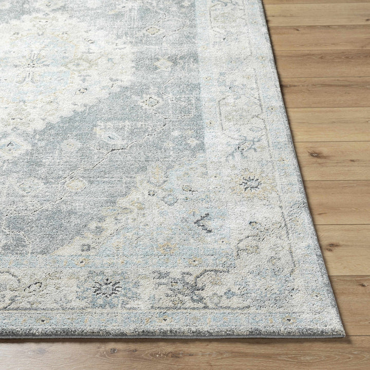 Gray Traditional Style Machine Woven Area Rug - The Rug Decor