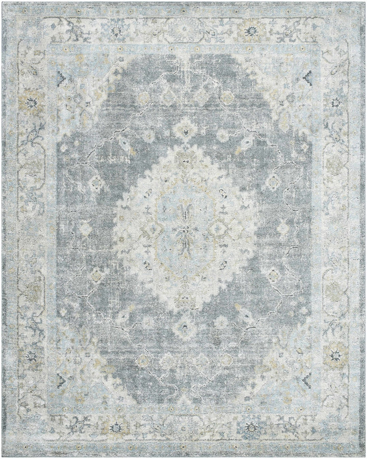 Gray Traditional Style Machine Woven Area Rug - The Rug Decor