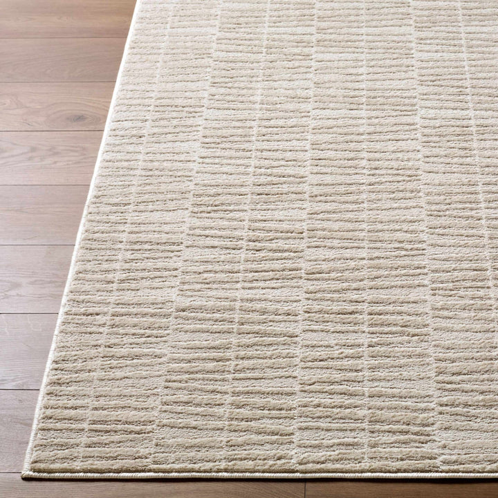 Grenelle Contemporary Style Beige Area Rug - The Rug Decor