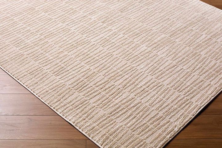 Grenelle Contemporary Style Beige Area Rug - The Rug Decor