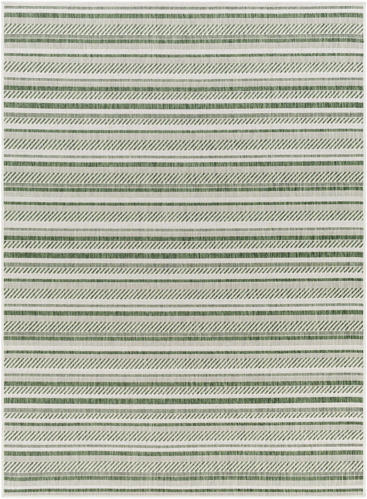Gram Contemporary Style Green And Ivory Outdoor Rug