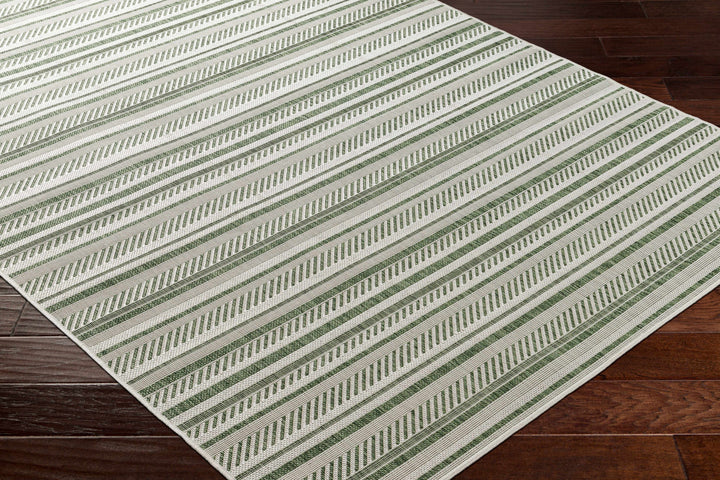 Gram Contemporary Style Green And Ivory Outdoor Rug