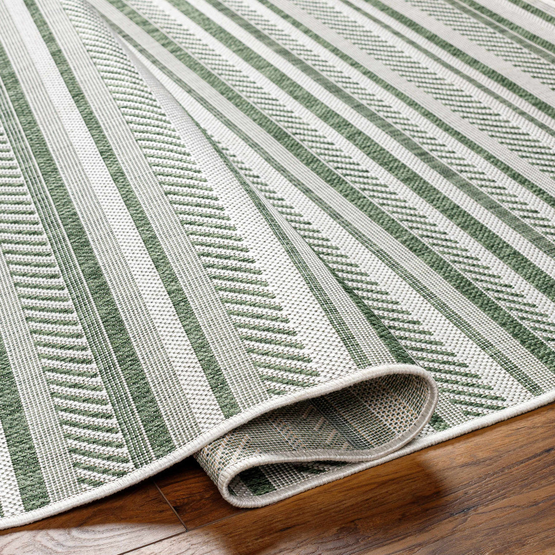 Gram Contemporary Style Green And Ivory Outdoor Rug