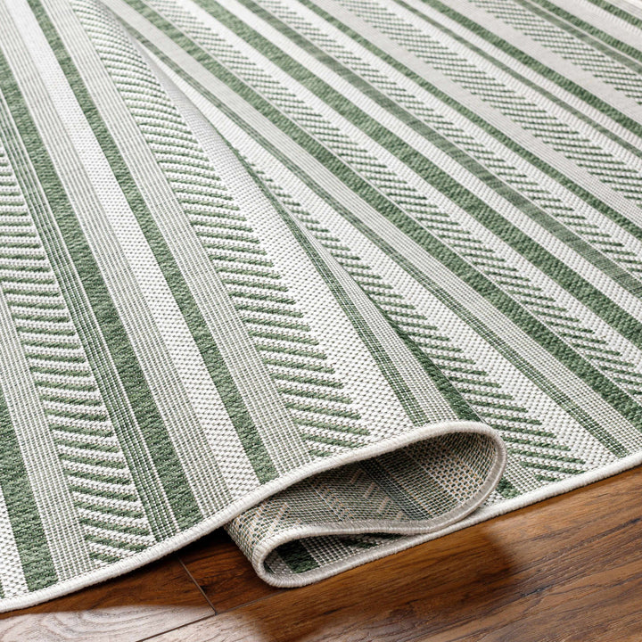 Gram Contemporary Style Green And Ivory Outdoor Rug