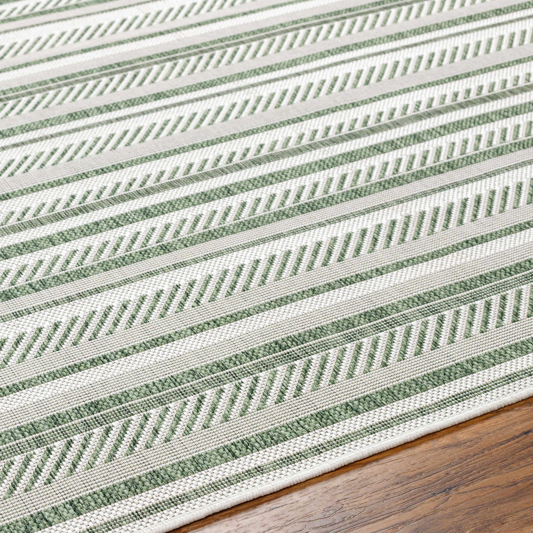 Gram Contemporary Style Green And Ivory Outdoor Rug