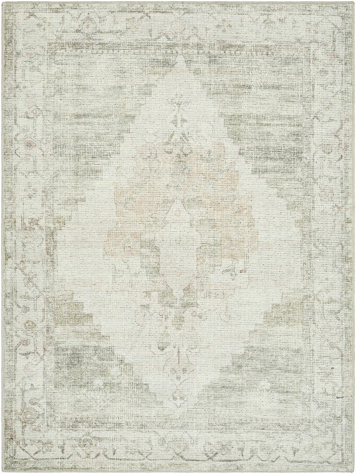 Gyan Traditional Gray And Ivory Machine Woven Rug - The Rug Decor