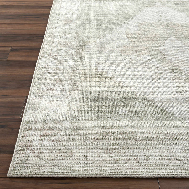 Gyan Traditional Gray And Ivory Machine Woven Rug - The Rug Decor