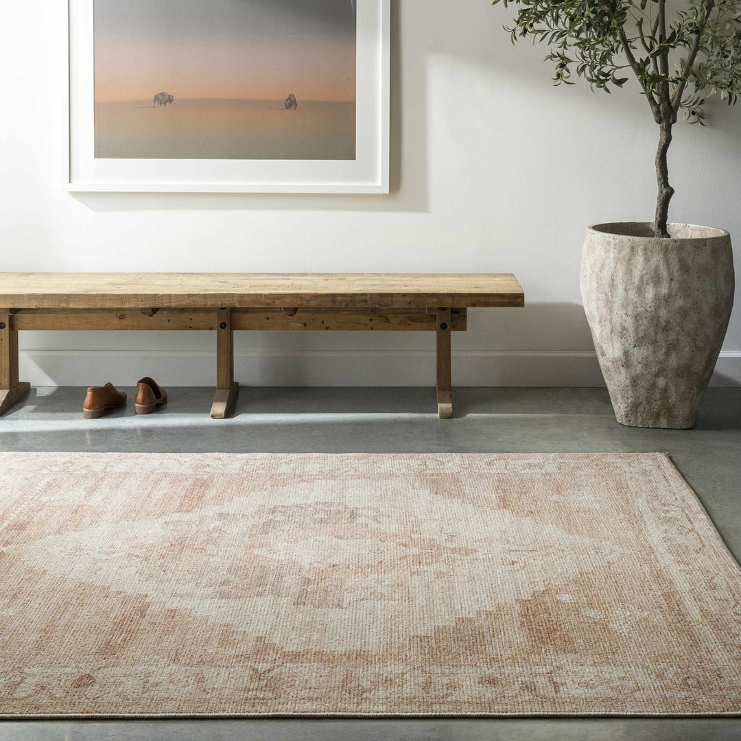 Gyan Traditional Style Beige And Brown Area Rug - The Rug Decor