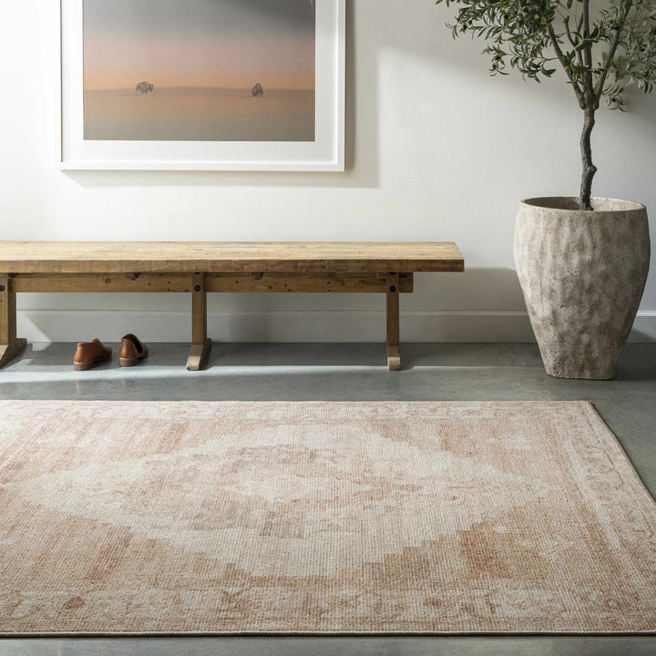 Gyan Traditional Style Beige And Brown Area Rug - The Rug Decor