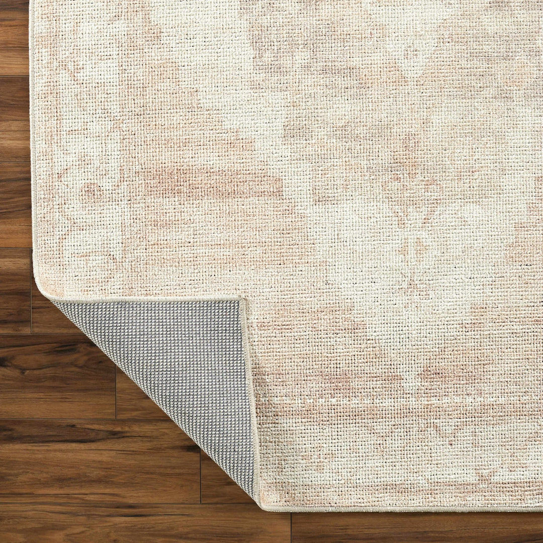 Gyan Traditional Style Beige And Brown Area Rug - The Rug Decor