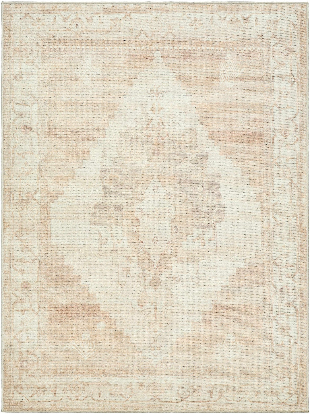 Gyan Traditional Style Beige And Brown Area Rug - The Rug Decor
