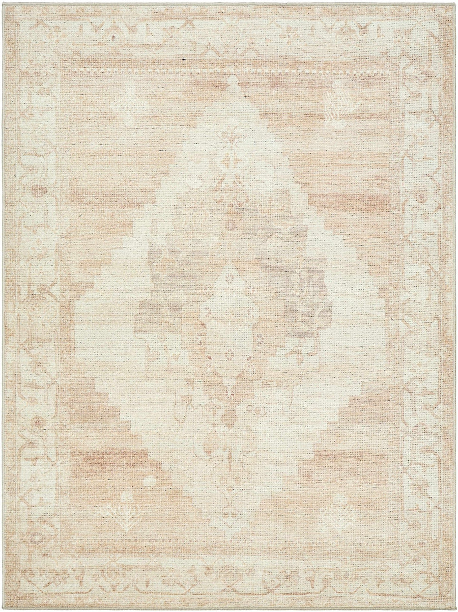 Gyan Traditional Style Beige And Brown Area Rug - The Rug Decor