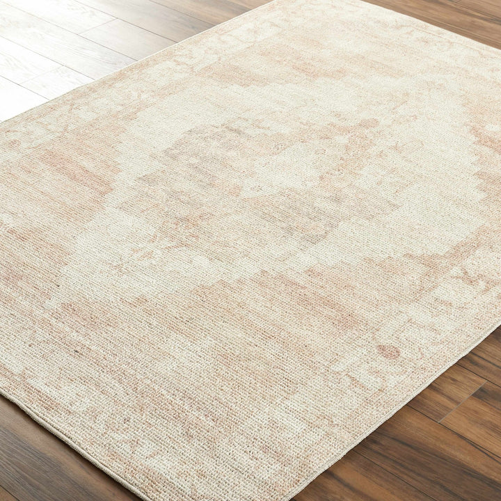 Gyan Traditional Style Beige And Brown Area Rug - The Rug Decor