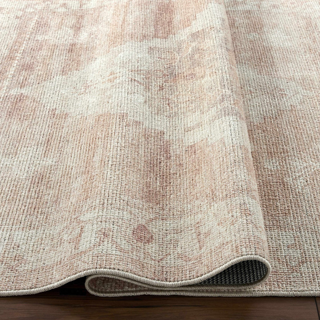 Gyan Traditional Style Beige And Brown Area Rug - The Rug Decor