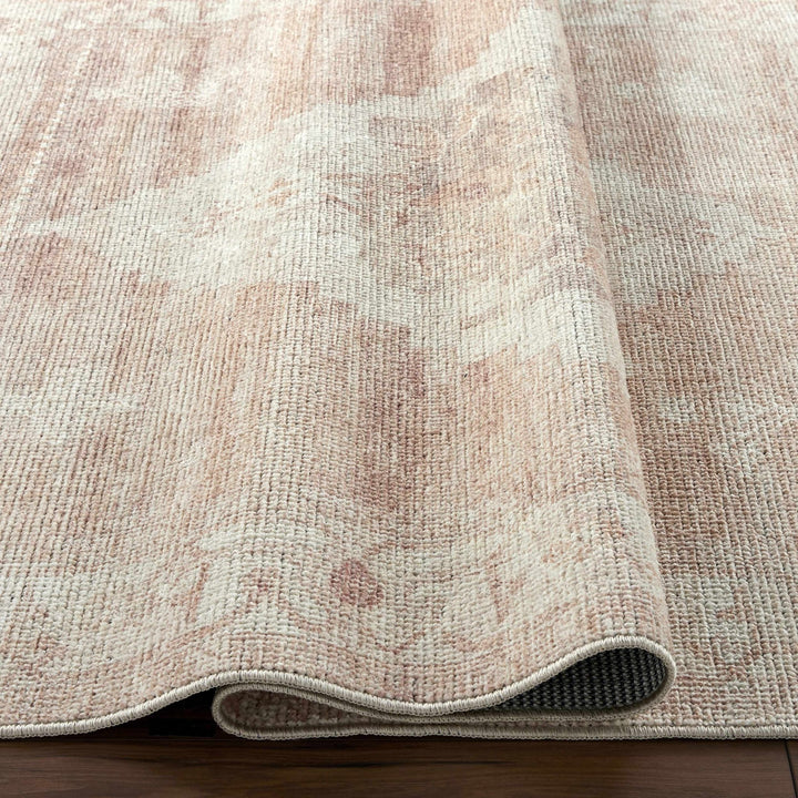 Gyan Traditional Style Beige And Brown Area Rug - The Rug Decor
