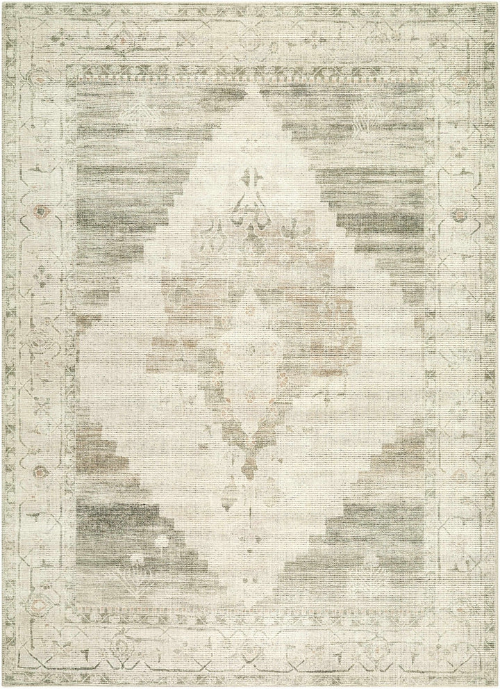 Gyan Traditional Style Olive And Ivory Area Rug - The Rug Decor