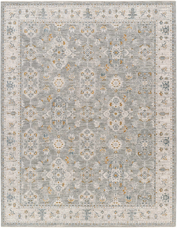 Hafsa Traditional Style Beige And Gray Rug - The Rug Decor