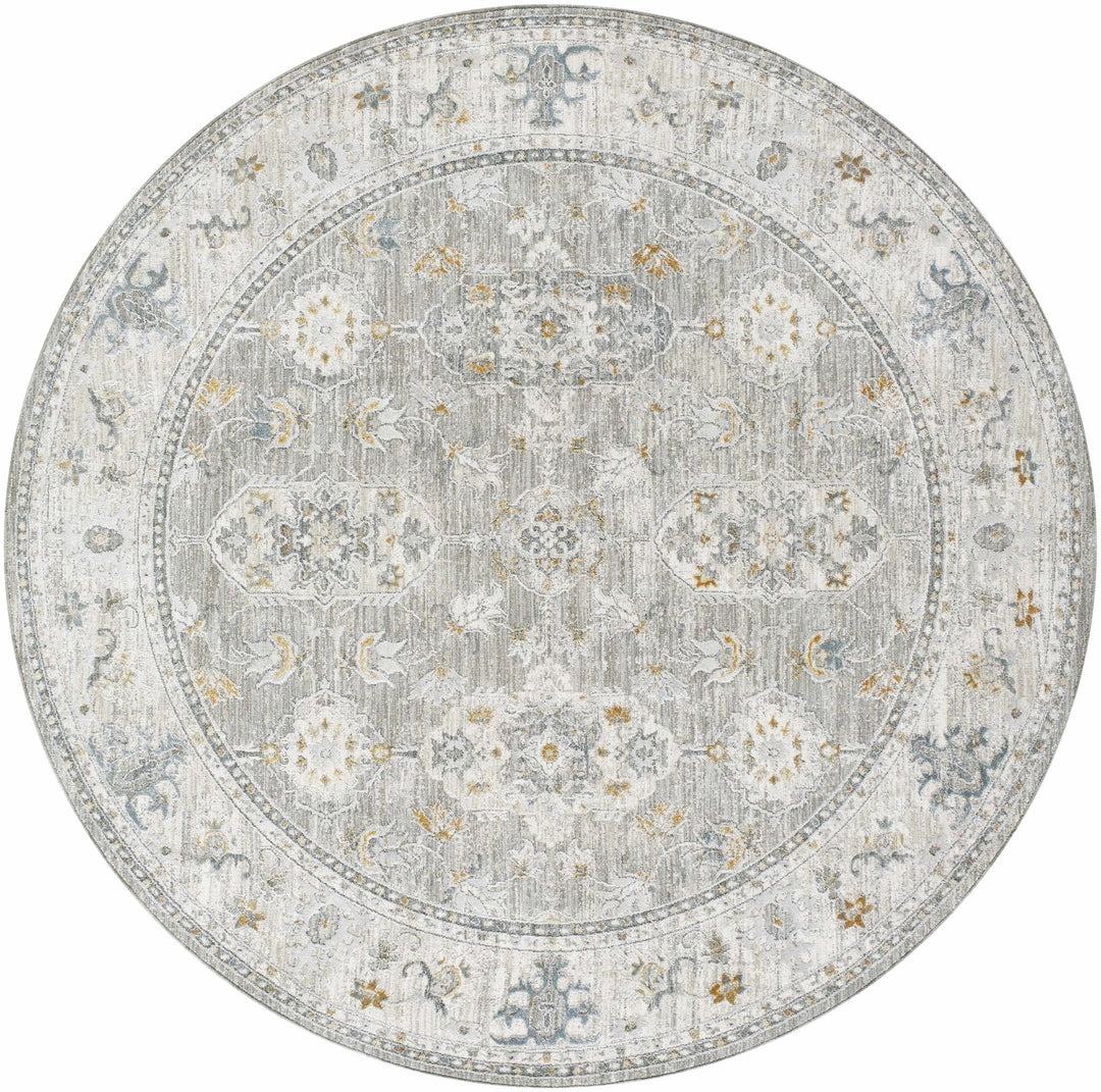 Hafsa Traditional Style Beige And Gray Rug - The Rug Decor