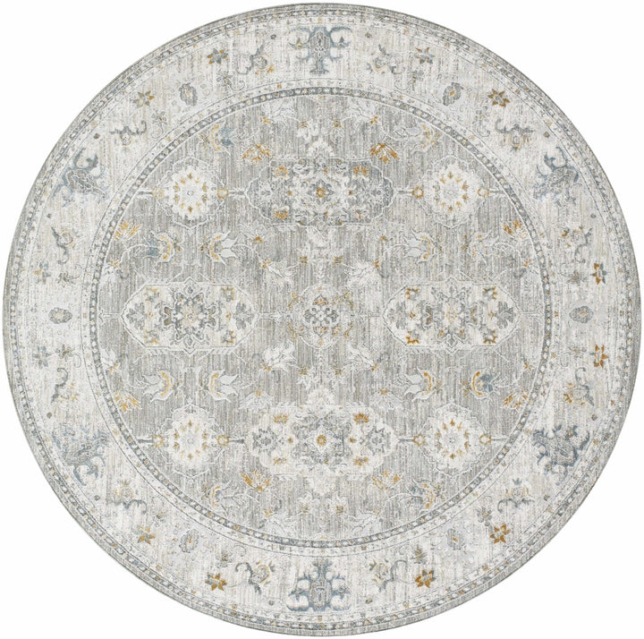 Hafsa Traditional Style Beige And Gray Rug - The Rug Decor
