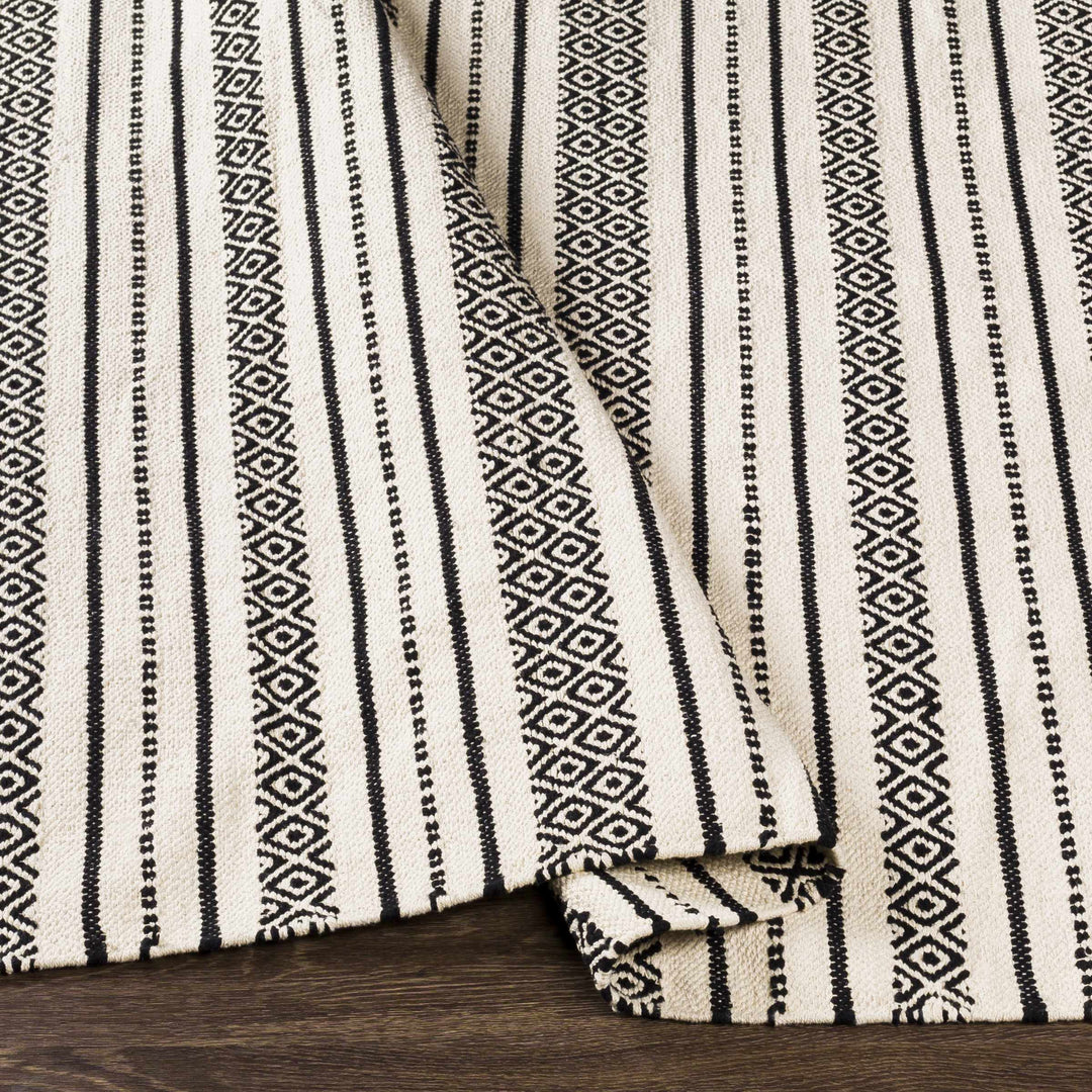Hagnaya Ivory And Black Modern style Hand Woven Area Rug