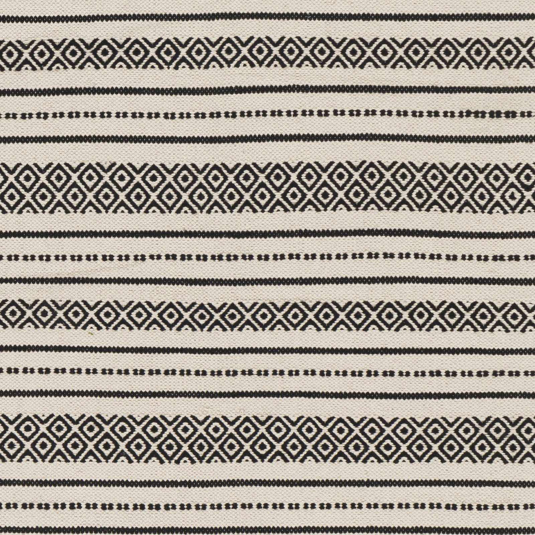 Hagnaya Ivory And Black Modern style Hand Woven Area Rug