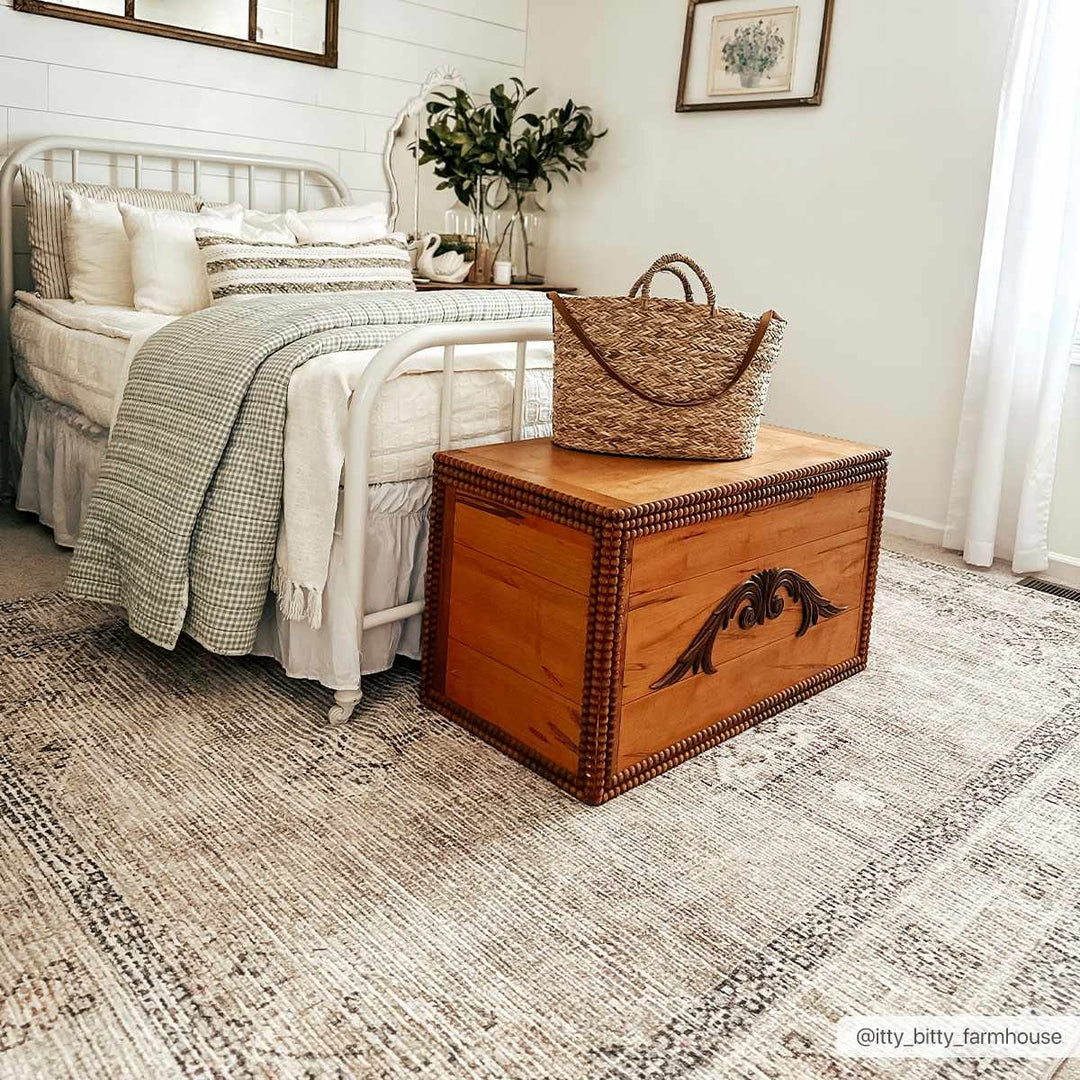 Haide Traditional Style Beige And Gray Area Rug - The Rug Decor