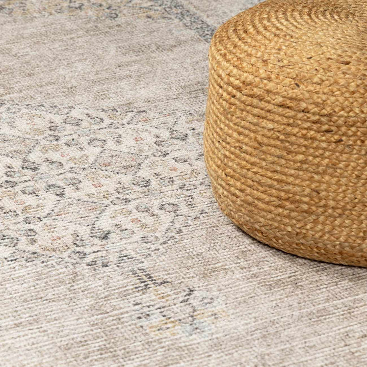 Haide Traditional Style Beige And Gray Area Rug - The Rug Decor